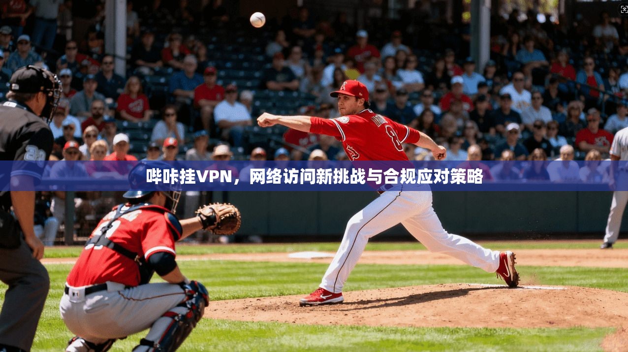 哔咔挂VPN，网络访问新挑战与合规应对策略