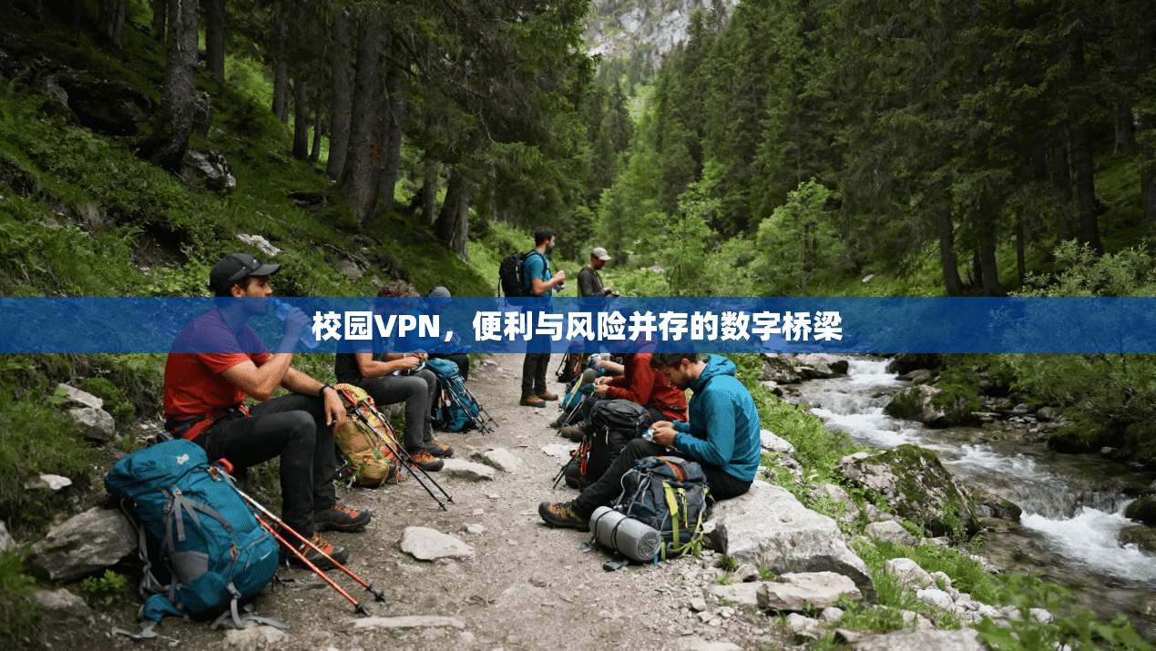 校园VPN，便利与风险并存的数字桥梁