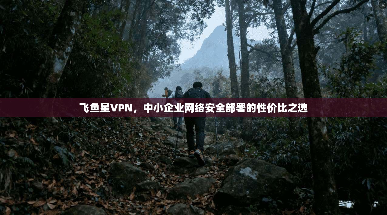 飞鱼星VPN，中小企业网络安全部署的性价比之选