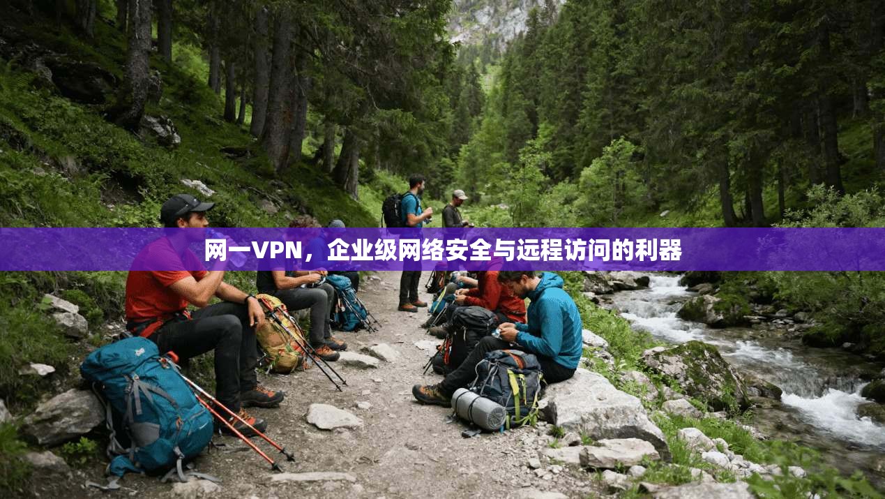网一VPN，企业级网络安全与远程访问的利器