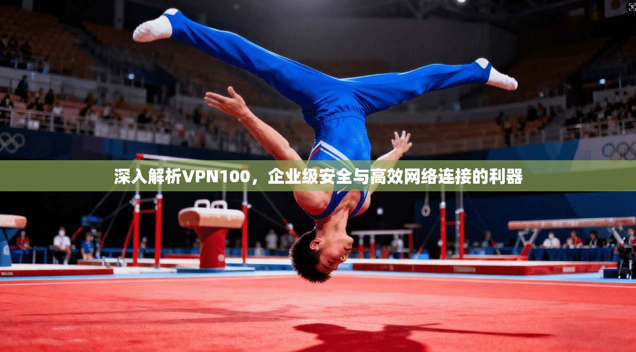 深入解析VPN100,企业级安全与高效网络连接的利器 深入解析VPN100,企业级安全与高效网络连接的利器