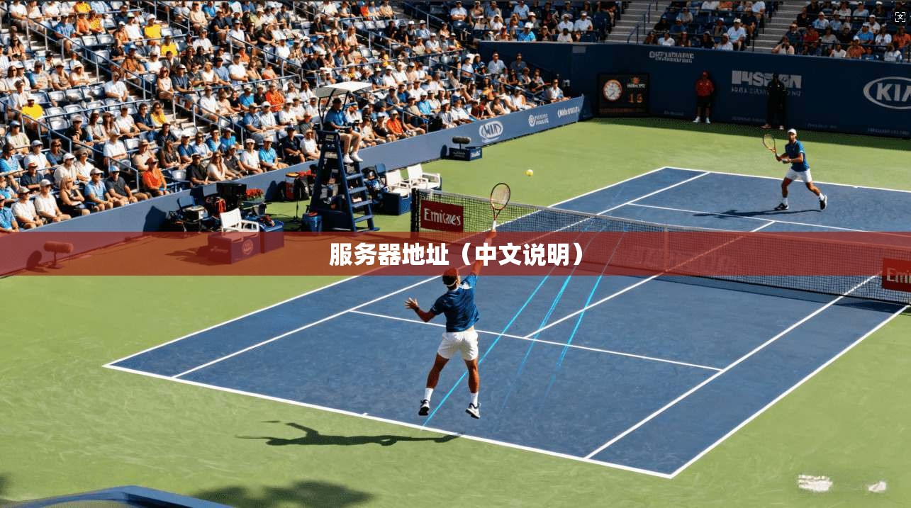 服务器地址（中文说明）