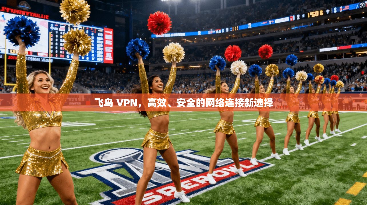 飞鸟 VPN，高效、安全的网络连接新选择