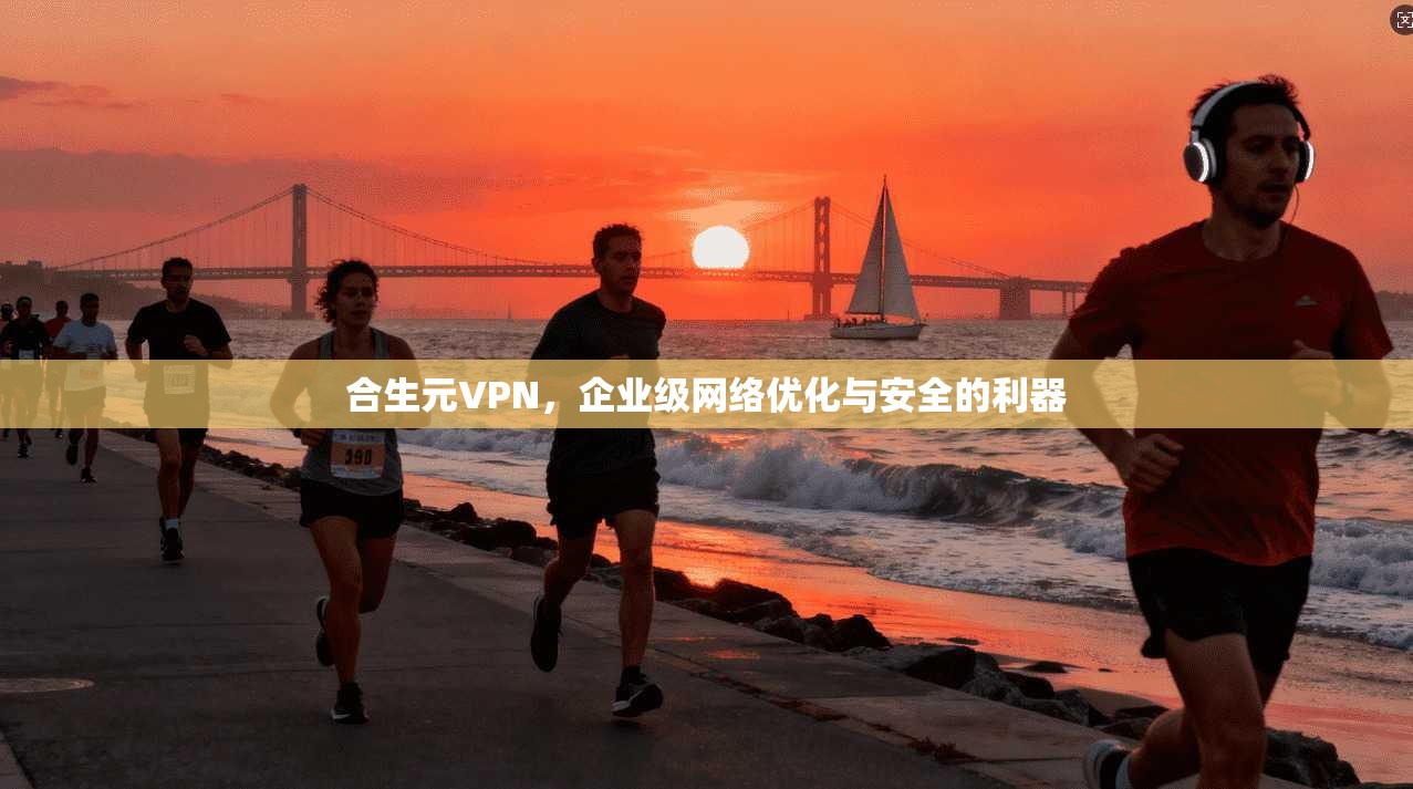 合生元VPN，企业级网络优化与安全的利器