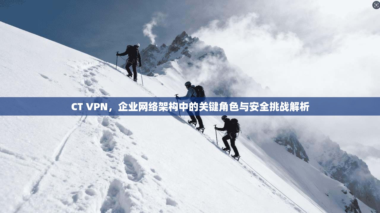 CT VPN，企业网络架构中的关键角色与安全挑战解析
