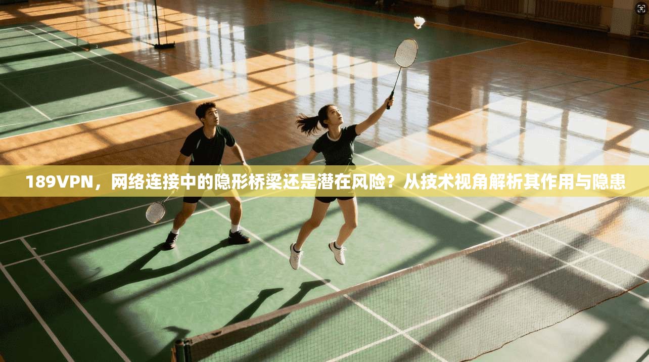 189VPN，网络连接中的隐形桥梁还是潜在风险？从技术视角解析其作用与隐患
