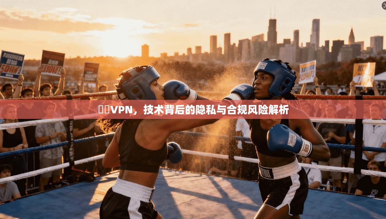 賽風VPN，技术背后的隐私与合规风险解析