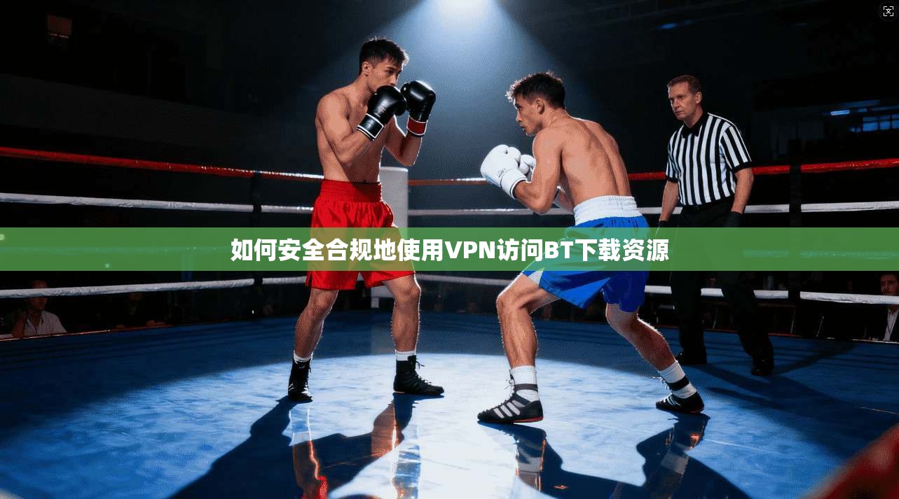 如何安全合规地使用VPN访问BT下载资源