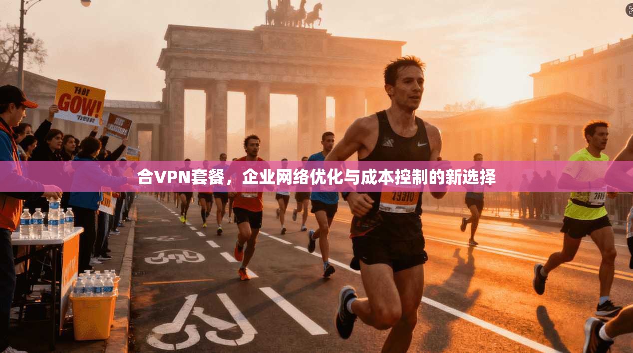 合VPN套餐，企业网络优化与成本控制的新选择