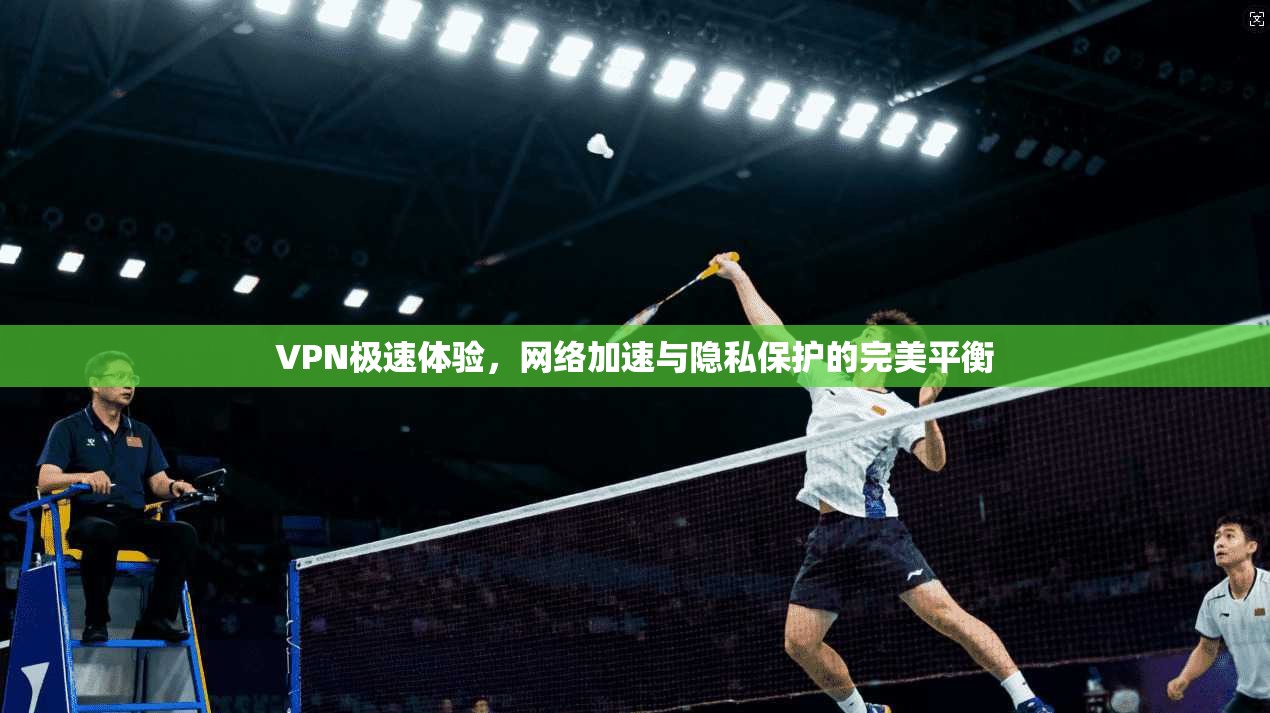 VPN极速体验，网络加速与隐私保护的完美平衡