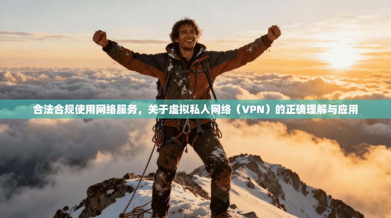 合法合规使用网络服务,关于虚拟私人网络(VPN)的正确理解与应用 合法合规使用网络服务,关于虚拟私人网络(VPN)的正确理解与应用