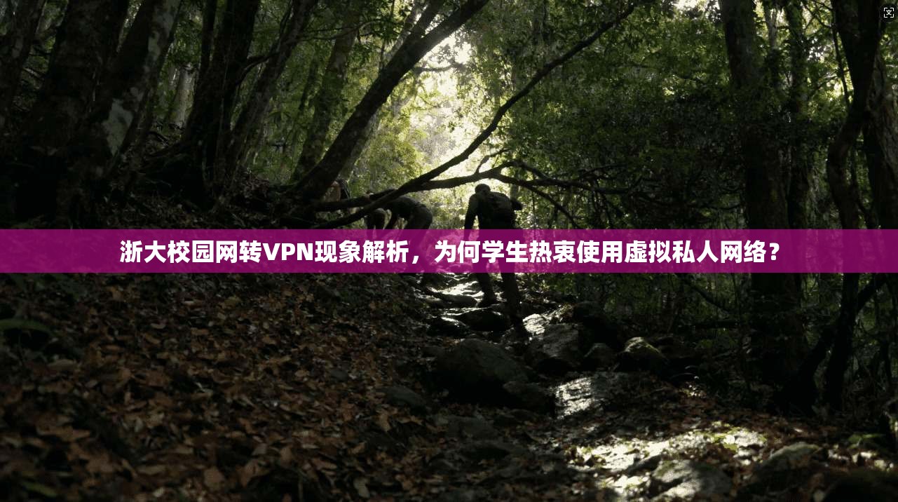 浙大校园网转VPN现象解析，为何学生热衷使用虚拟私人网络？