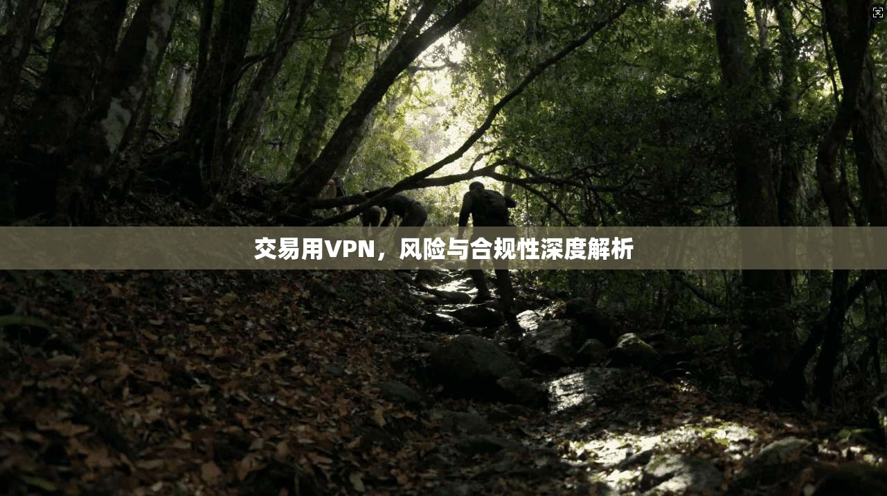 交易用VPN，风险与合规性深度解析