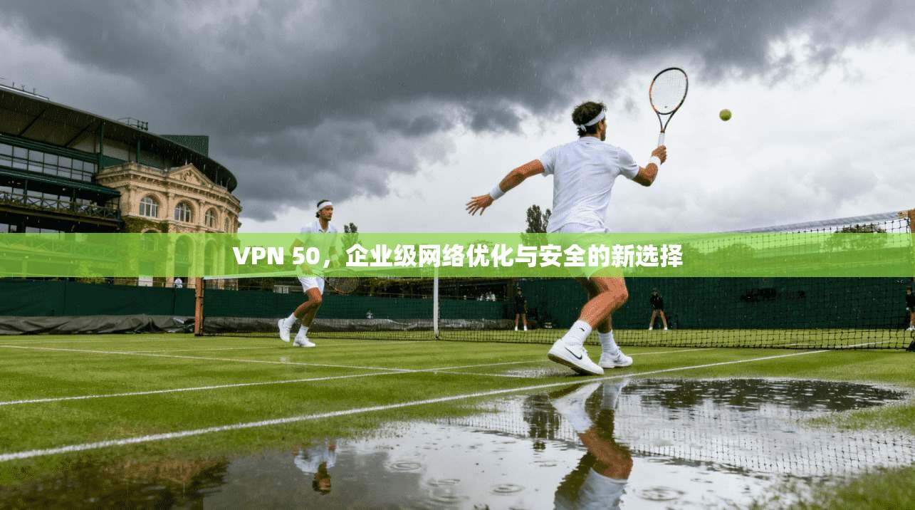 VPN 50，企业级网络优化与安全的新选择