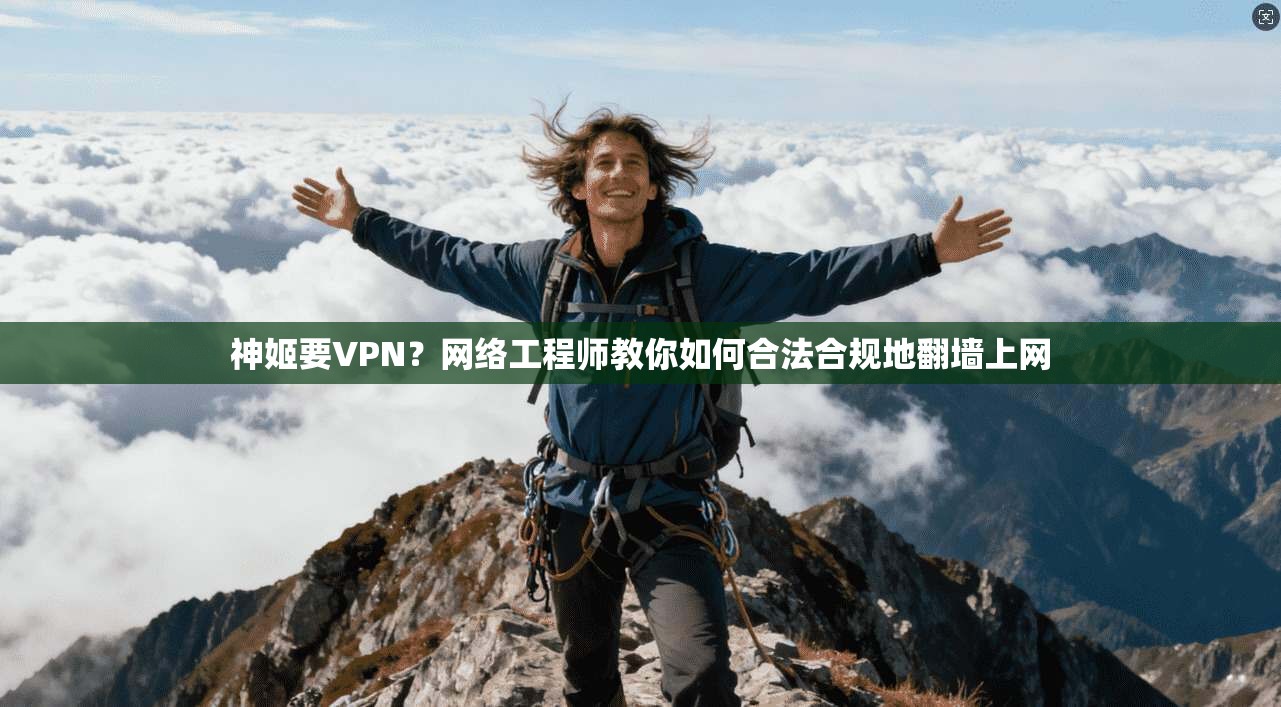 神姬要VPN？网络工程师教你如何合法合规地翻墙上网