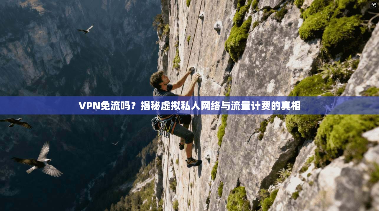 VPN免流吗？揭秘虚拟私人网络与流量计费的真相