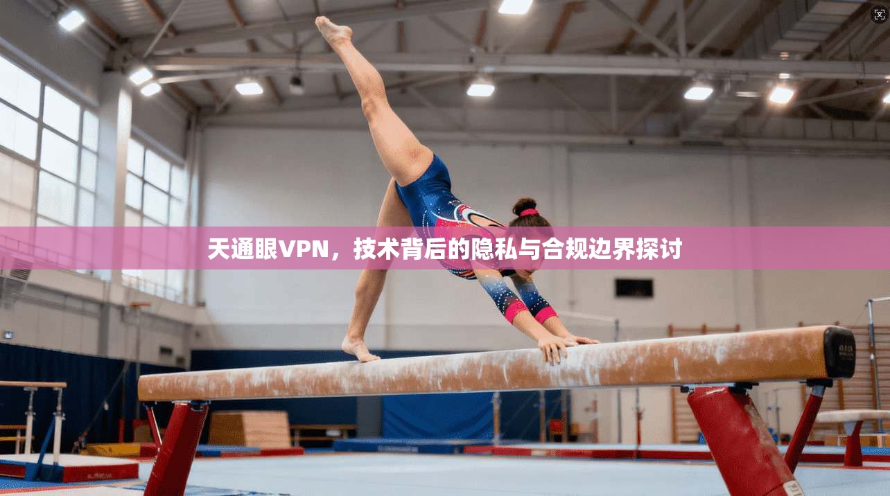 天通眼VPN，技术背后的隐私与合规边界探讨