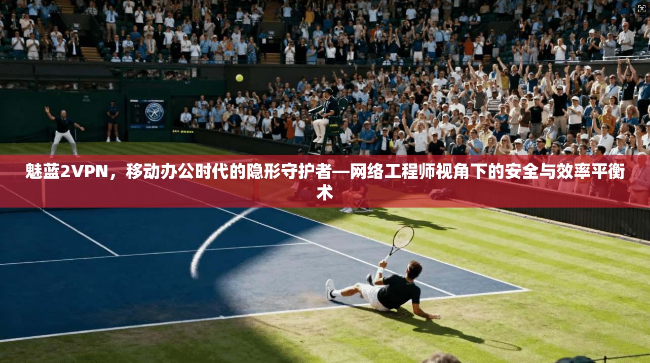 魅蓝2VPN，移动办公时代的隐形守护者—网络工程师视角下的安全与效率平衡术