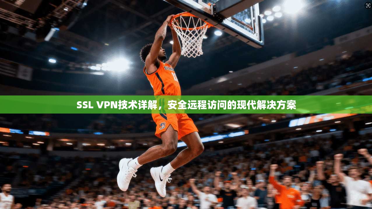 SSL VPN技术详解，安全远程访问的现代解决方案