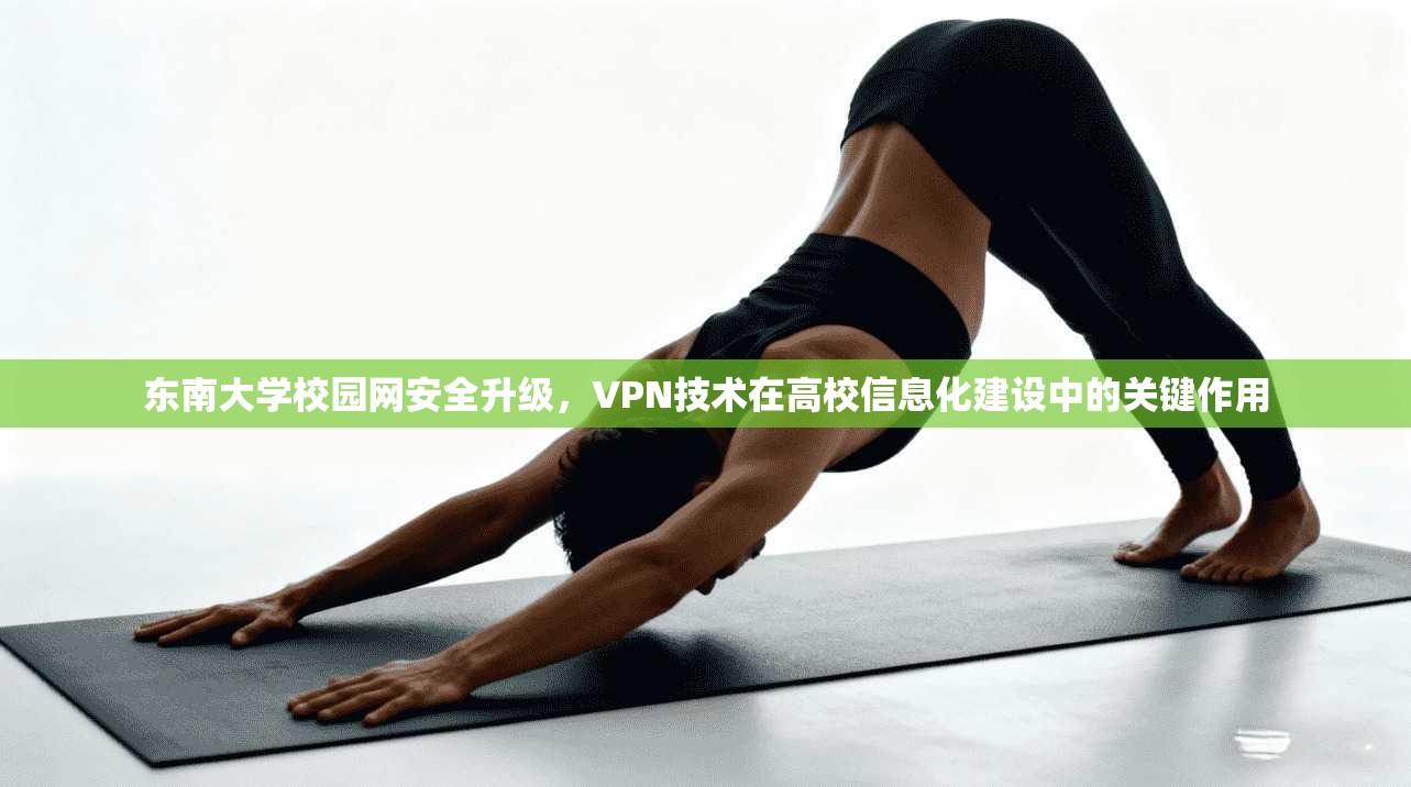 东南大学校园网安全升级，VPN技术在高校信息化建设中的关键作用
