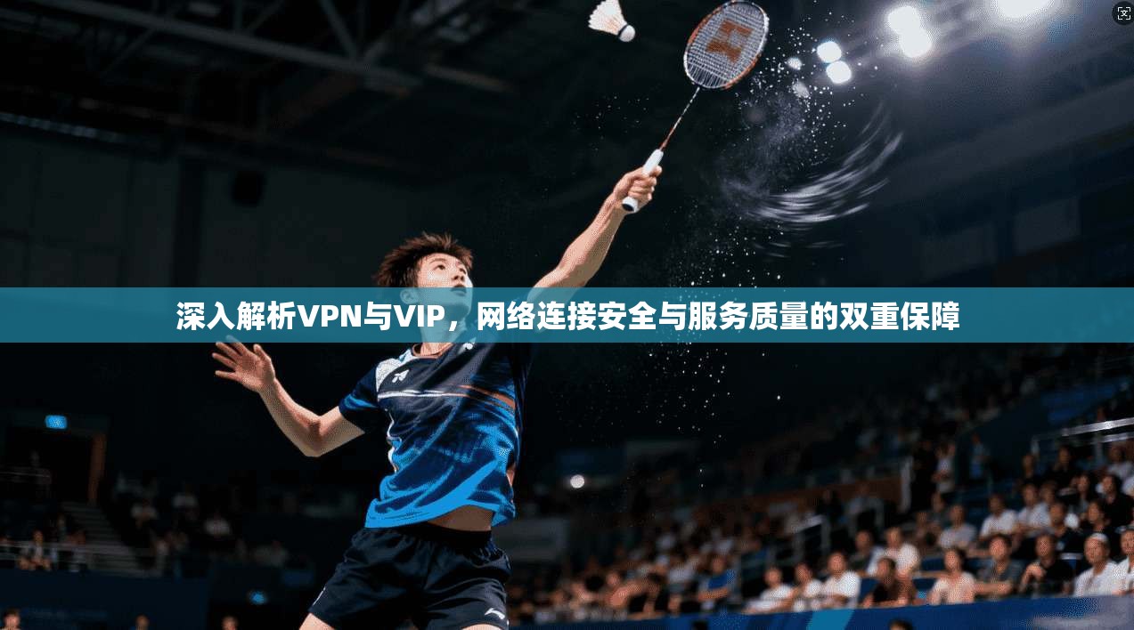 深入解析VPN与VIP，网络连接安全与服务质量的双重保障