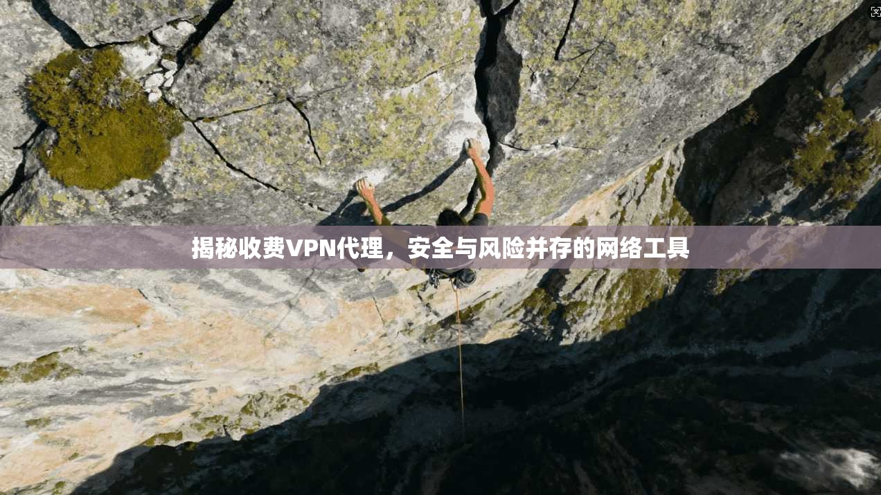 揭秘收费VPN代理，安全与风险并存的网络工具