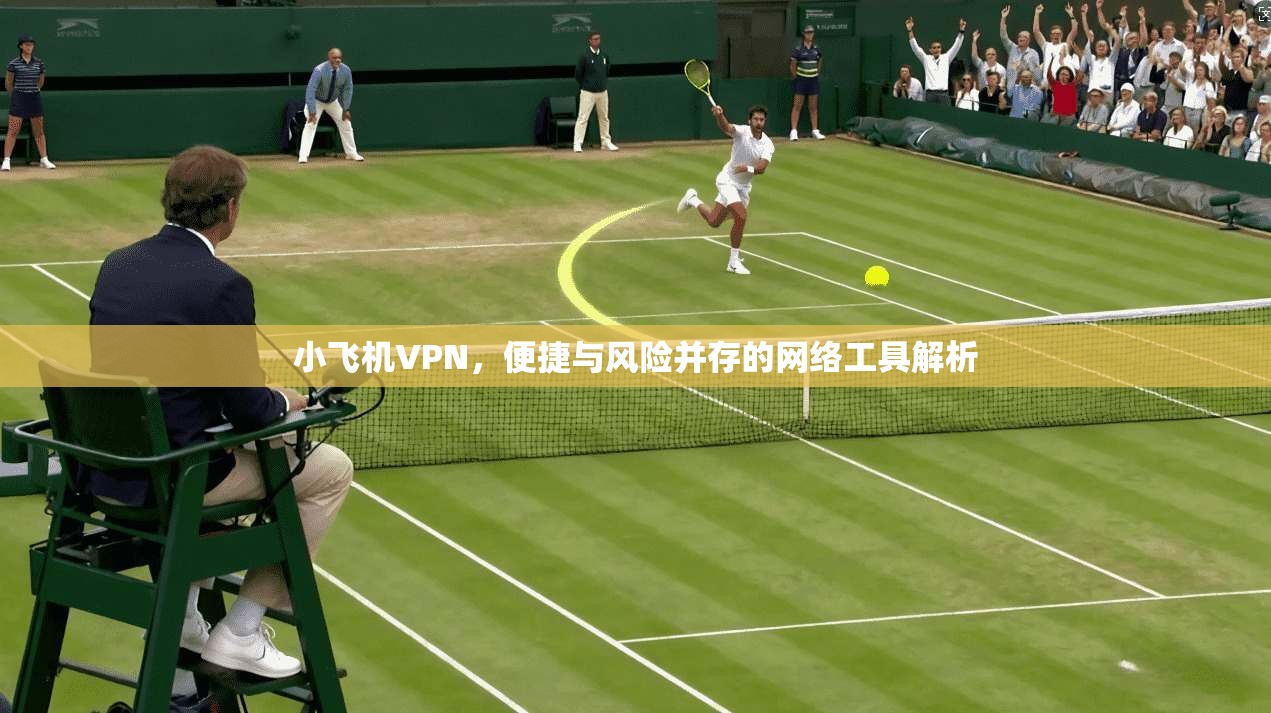 小飞机VPN，便捷与风险并存的网络工具解析