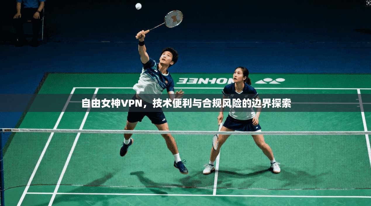 自由女神VPN，技术便利与合规风险的边界探索