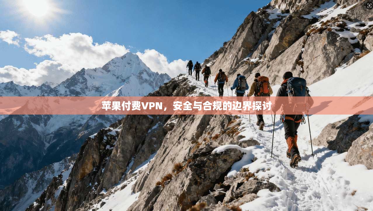 苹果付费VPN，安全与合规的边界探讨