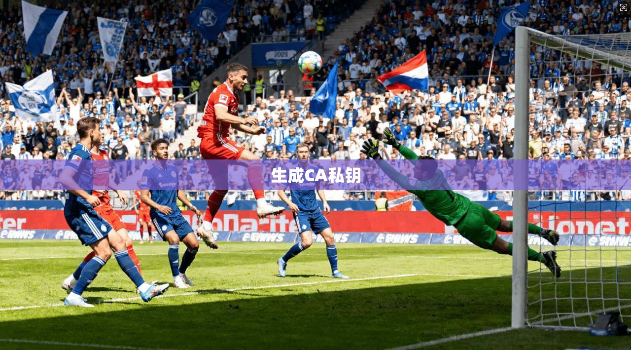 生成CA私钥 生成CA私钥