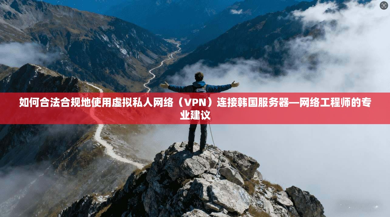 如何合法合规地使用虚拟私人网络（VPN）连接韩国服务器—网络工程师的专业建议