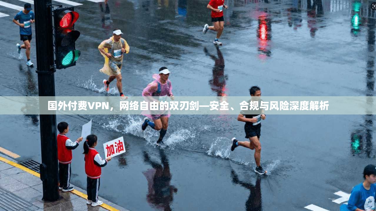 国外付费VPN，网络自由的双刃剑—安全、合规与风险深度解析