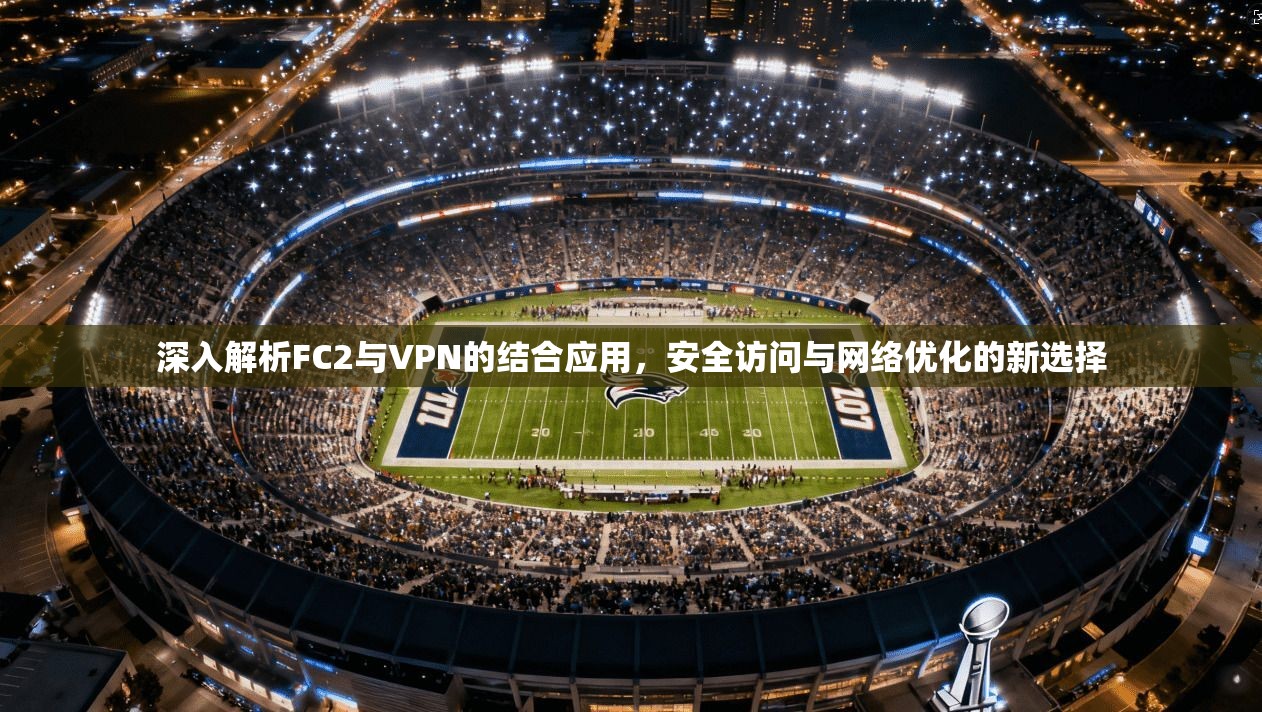 深入解析FC2与VPN的结合应用，安全访问与网络优化的新选择