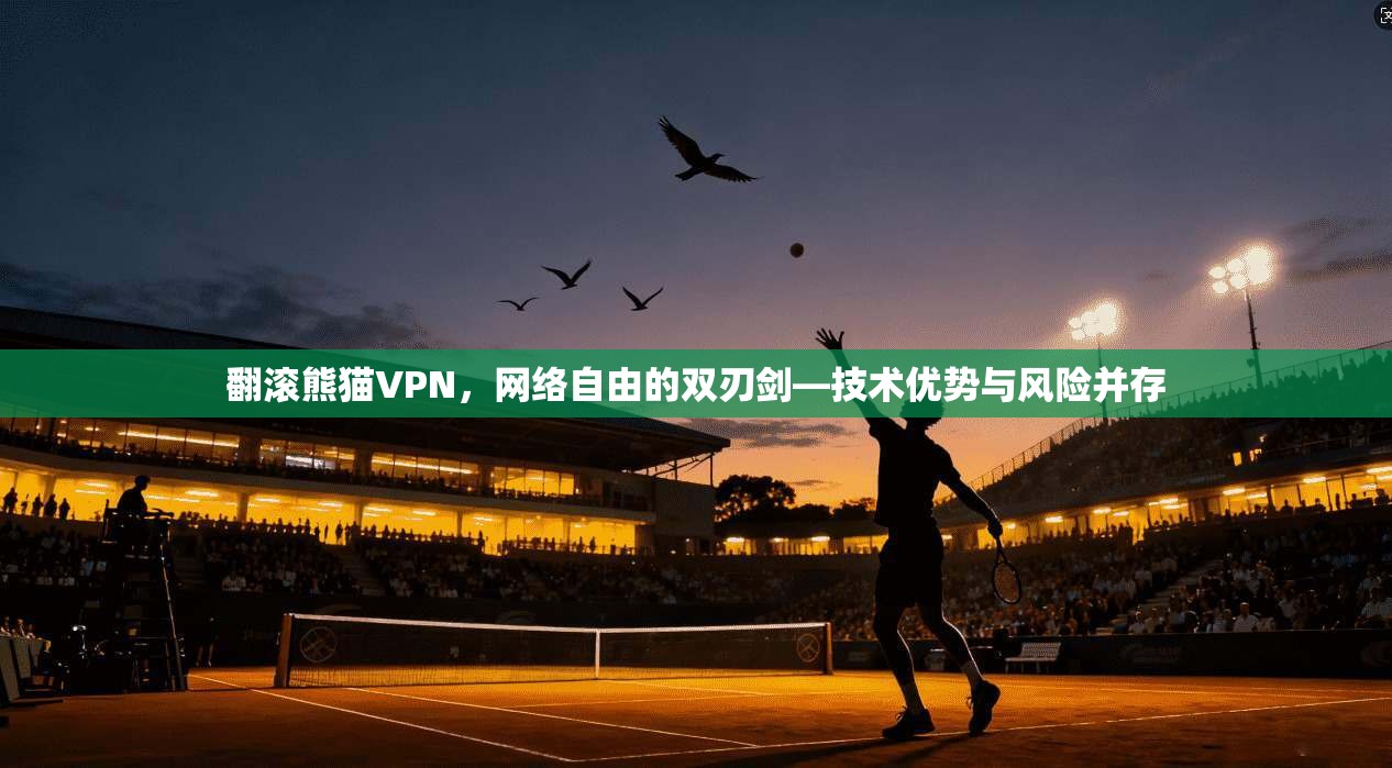 翻滚熊猫VPN，网络自由的双刃剑—技术优势与风险并存