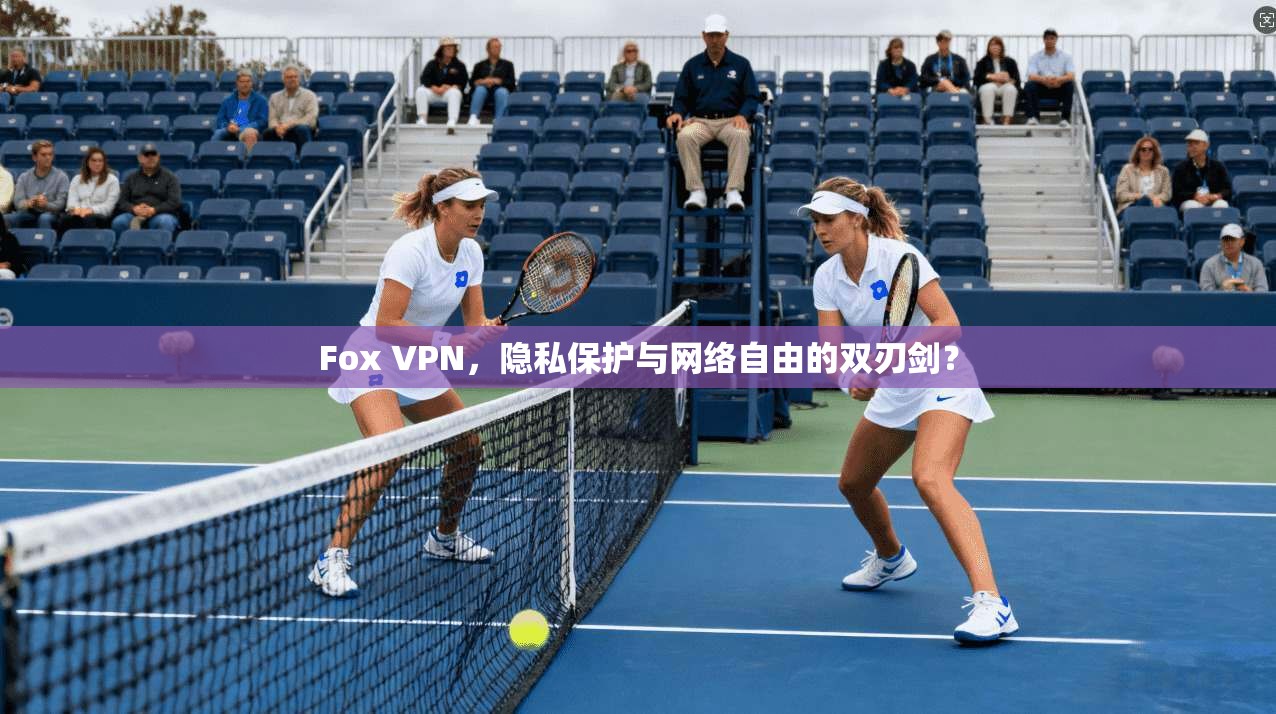 Fox VPN，隐私保护与网络自由的双刃剑？