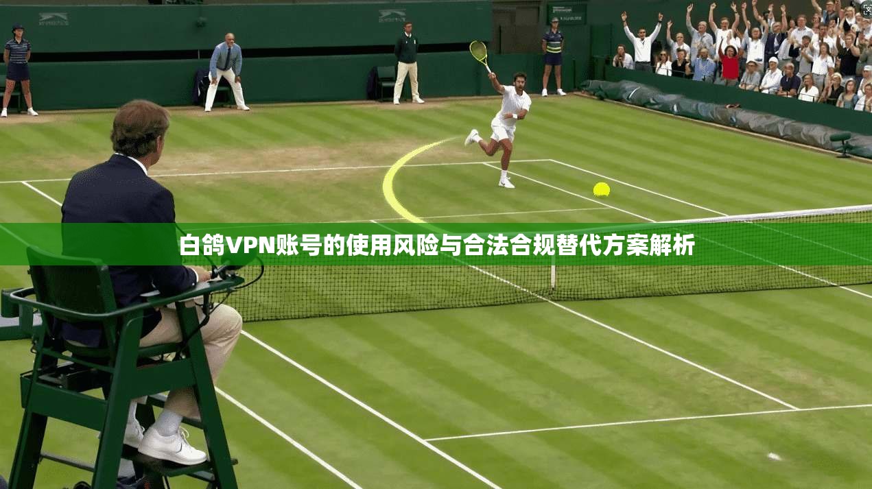 白鸽VPN账号的使用风险与合法合规替代方案解析