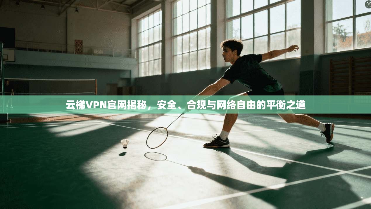 云梯VPN官网揭秘，安全、合规与网络自由的平衡之道