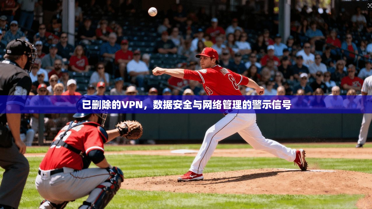 已删除的VPN，数据安全与网络管理的警示信号