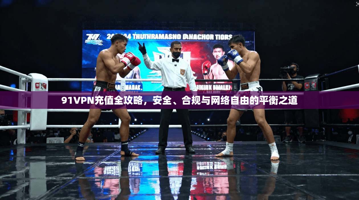91VPN充值全攻略，安全、合规与网络自由的平衡之道