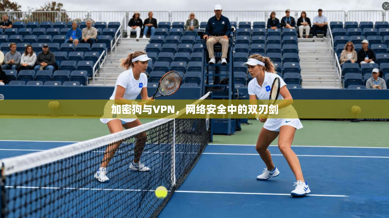 加密狗与VPN，网络安全中的双刃剑