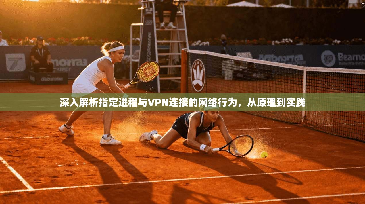 深入解析指定进程与VPN连接的网络行为，从原理到实践