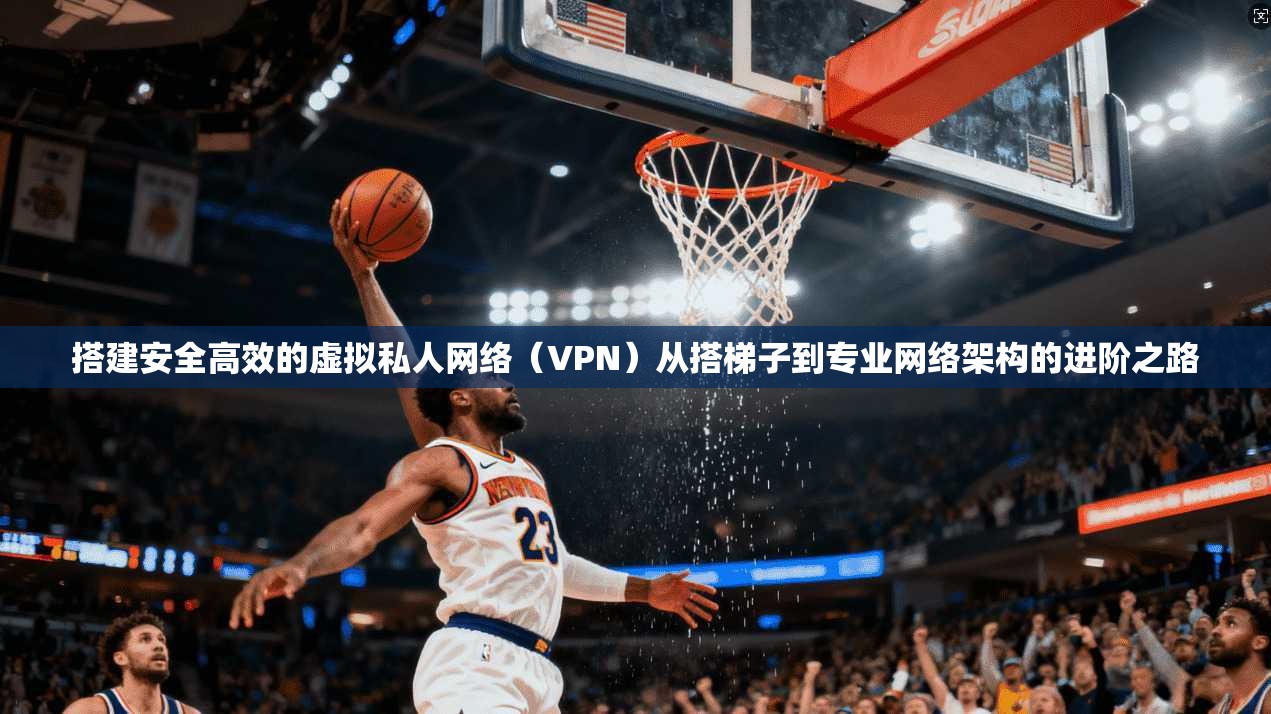 搭建安全高效的虚拟私人网络（VPN）从搭梯子到专业网络架构的进阶之路