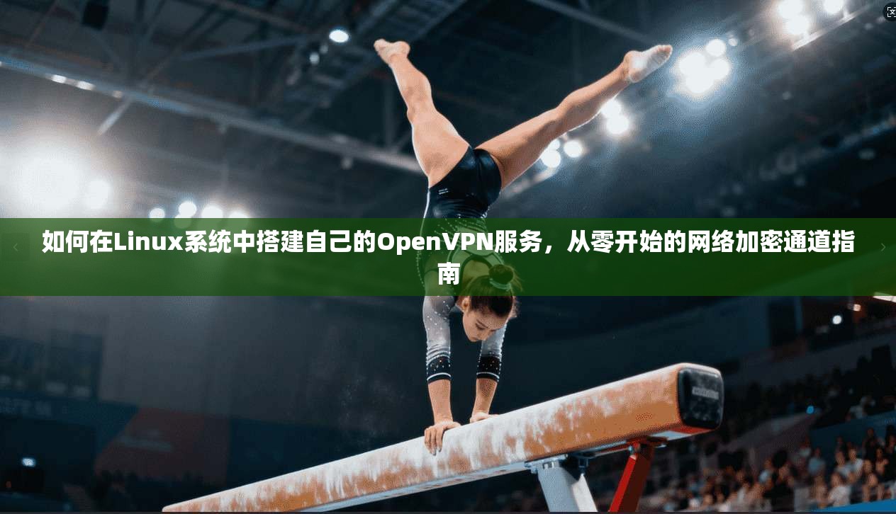 如何在Linux系统中搭建自己的OpenVPN服务，从零开始的网络加密通道指南