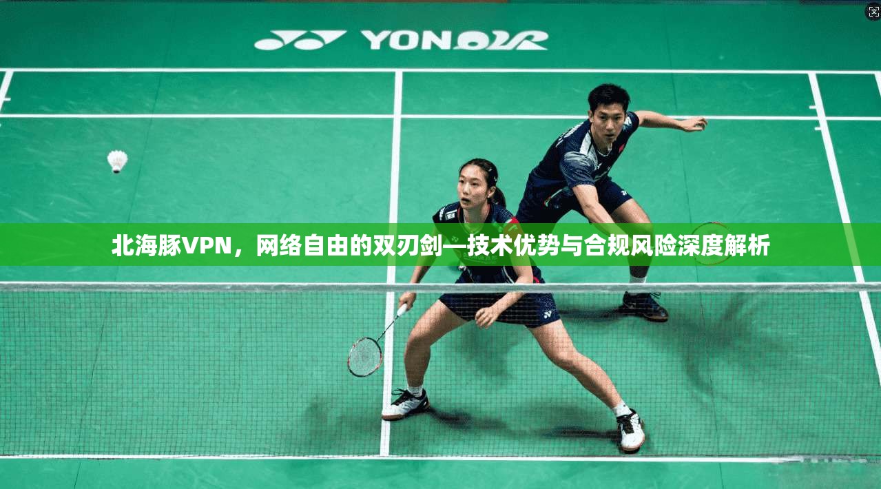 北海豚VPN，网络自由的双刃剑—技术优势与合规风险深度解析