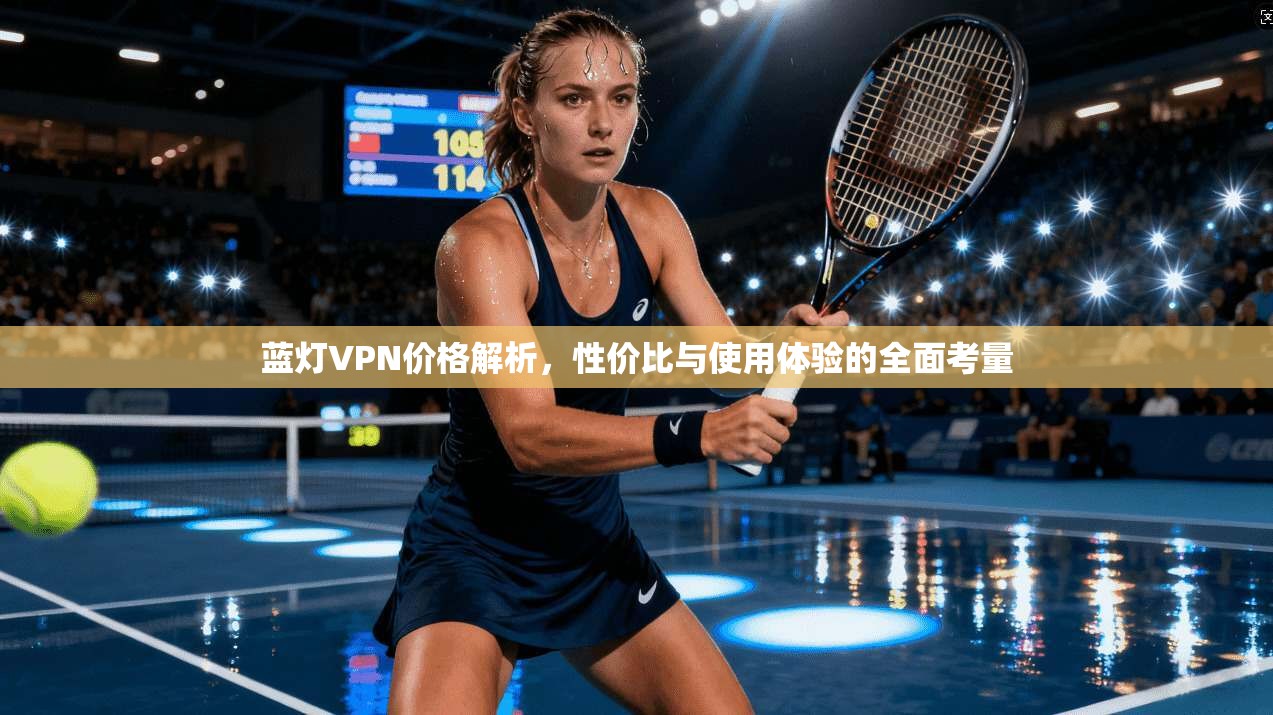 蓝灯VPN价格解析，性价比与使用体验的全面考量