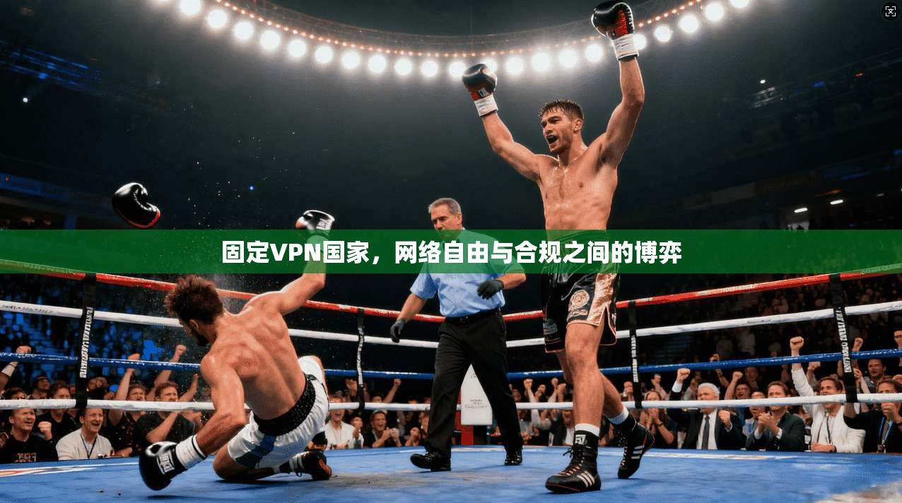固定VPN国家，网络自由与合规之间的博弈