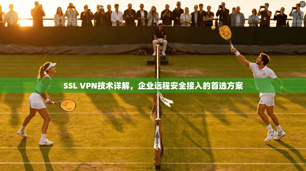 SSL VPN技术详解，企业远程安全接入的首选方案