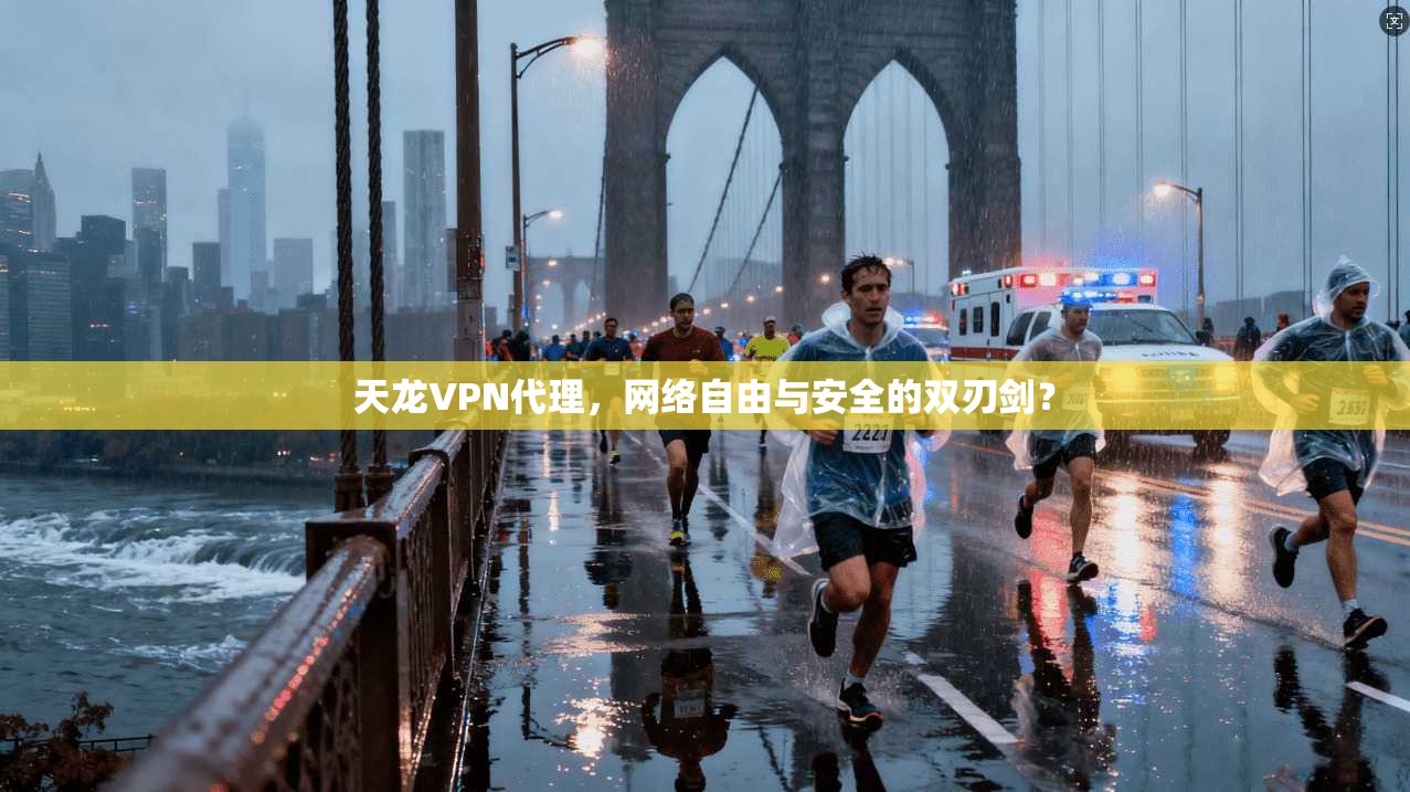天龙VPN代理，网络自由与安全的双刃剑？