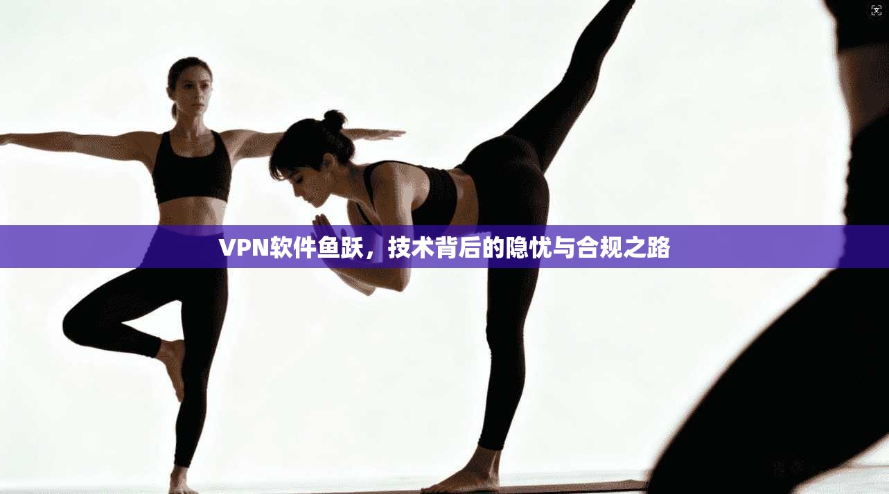 VPN软件鱼跃，技术背后的隐忧与合规之路