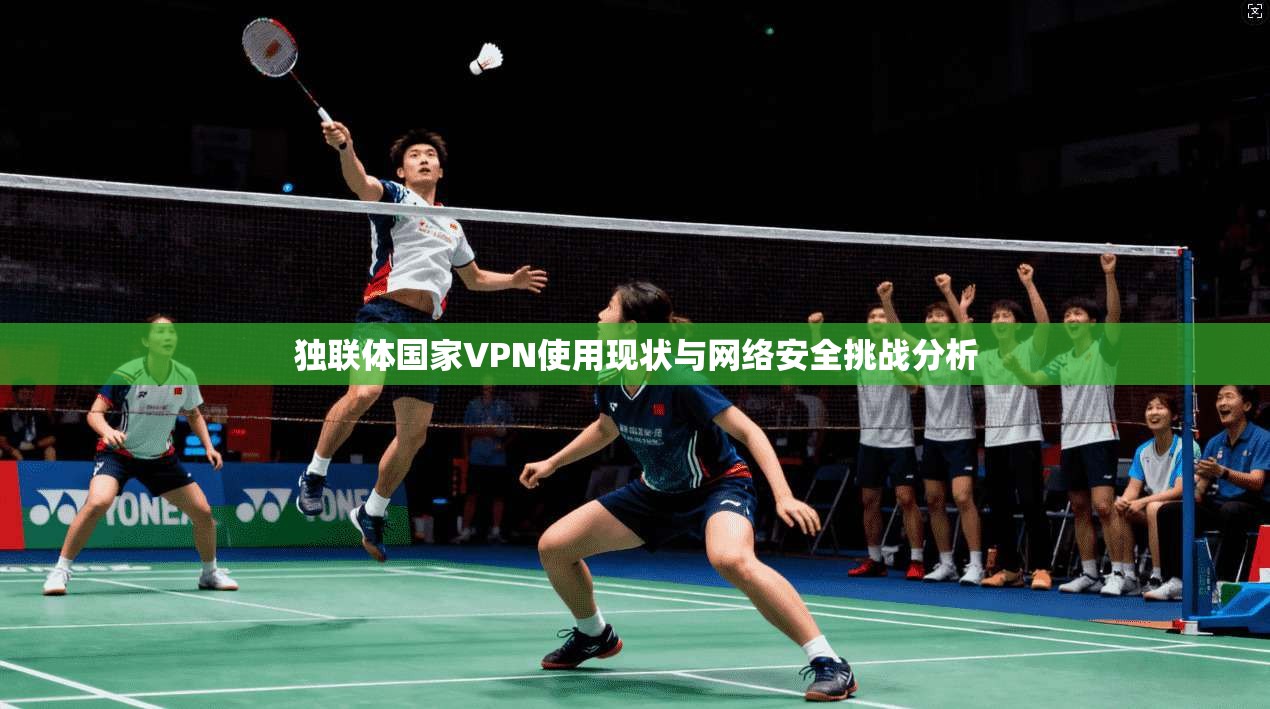 独联体国家VPN使用现状与网络安全挑战分析